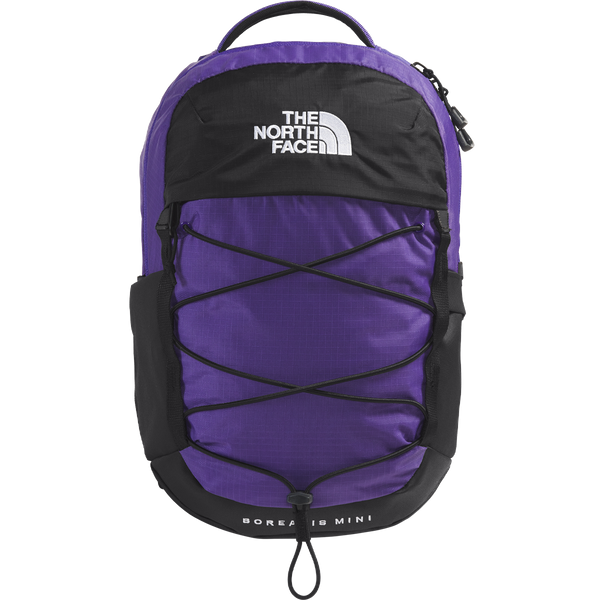 best small north face backpack Borealis Mini Backpack – Sports Basement