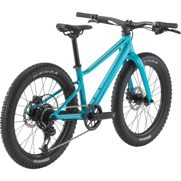 Youth Twostroke AL 20 V2 – Sports Basement