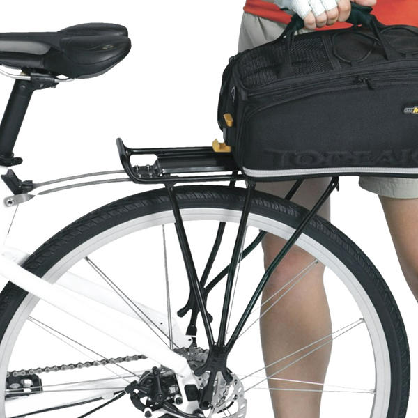Explorer MTX 2 Disc Rear Rack – Sports Basement