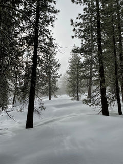 trip image 31
