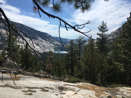 trip image 4