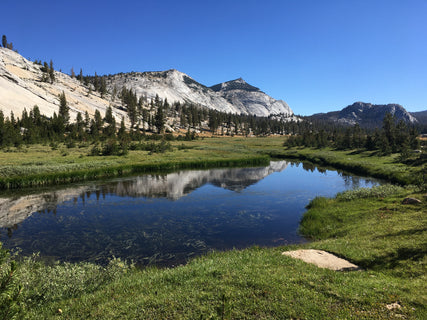 trip image 9