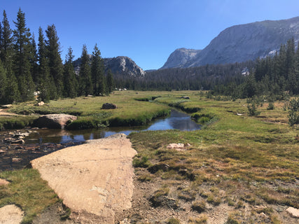 trip image 13