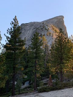 trip image 28