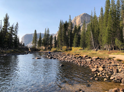 trip image 11