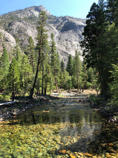 trip image 45
