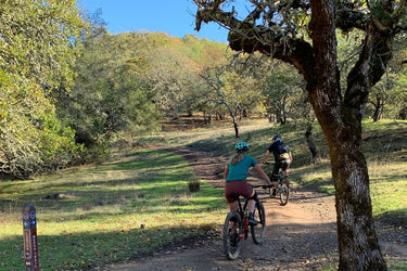 Community Spotlight: Friends of Trione Annadel Park