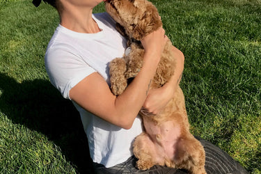 Cat and Cow Pose with a Dog