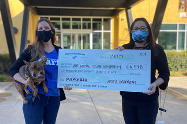 Basementeer Spotlight: Animal Rescue Foundation
