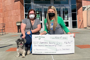 Basementeer Spotlight: Humane Society of Silicon Valley