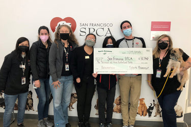 Basementeer Spotlight: San Francisco SPCA