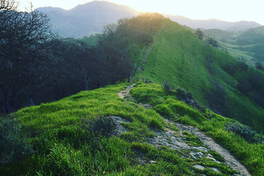 Friendship, Perspective, and the Shell Ridge Trails