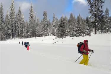 Snowshoeing 101