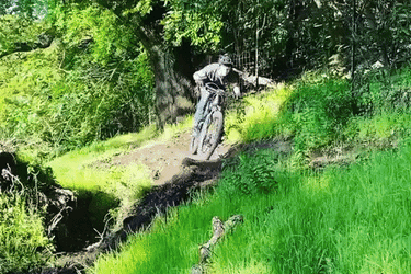 DIY Back Yard Single Track