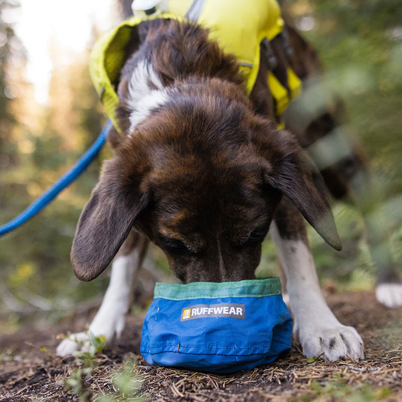 Trail Runner Ultralight Dog Bowl, Ruffwear Trail Runner Ultralight Dog Bowl with dog