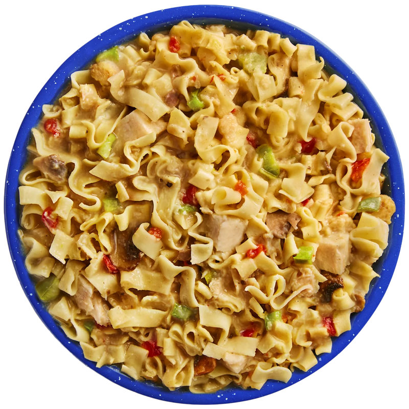 Homestyle Chicken Noodle Casserole (2 Servings), Mountain House Homestyle Chicken Noodle Casserole in bowl