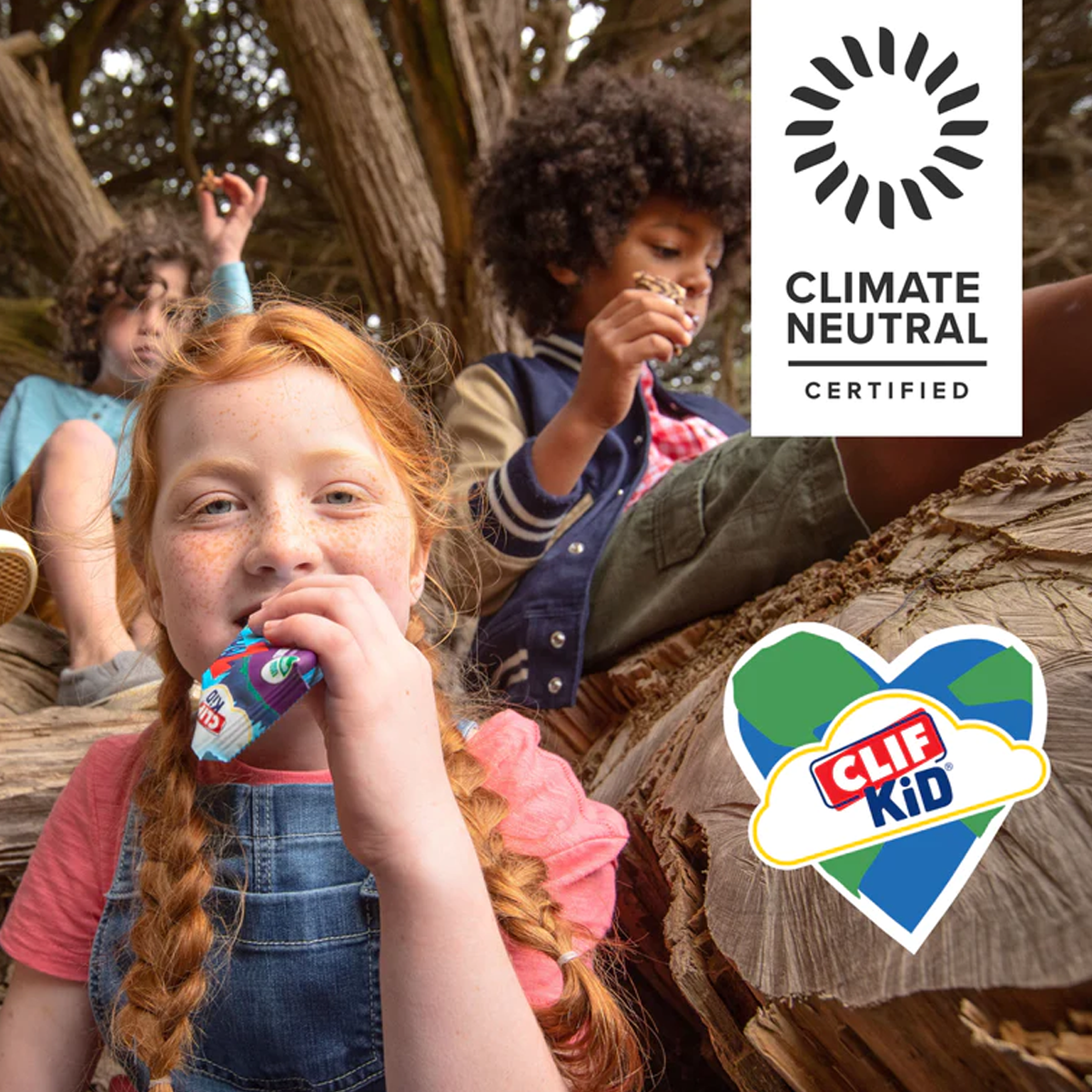 Zbar Protein alternate view