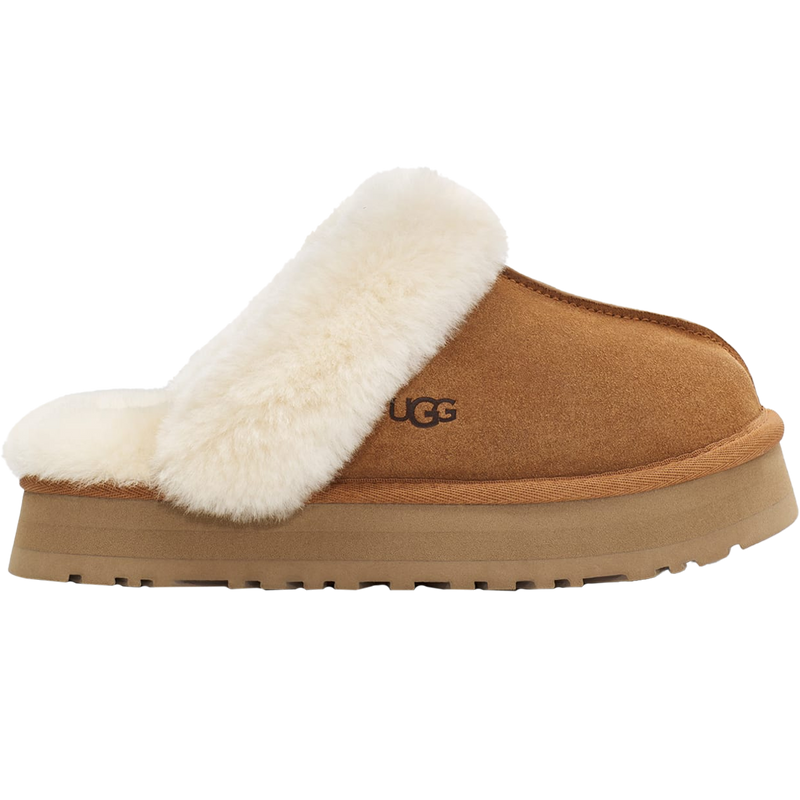 Women's Disquette, Featured Image