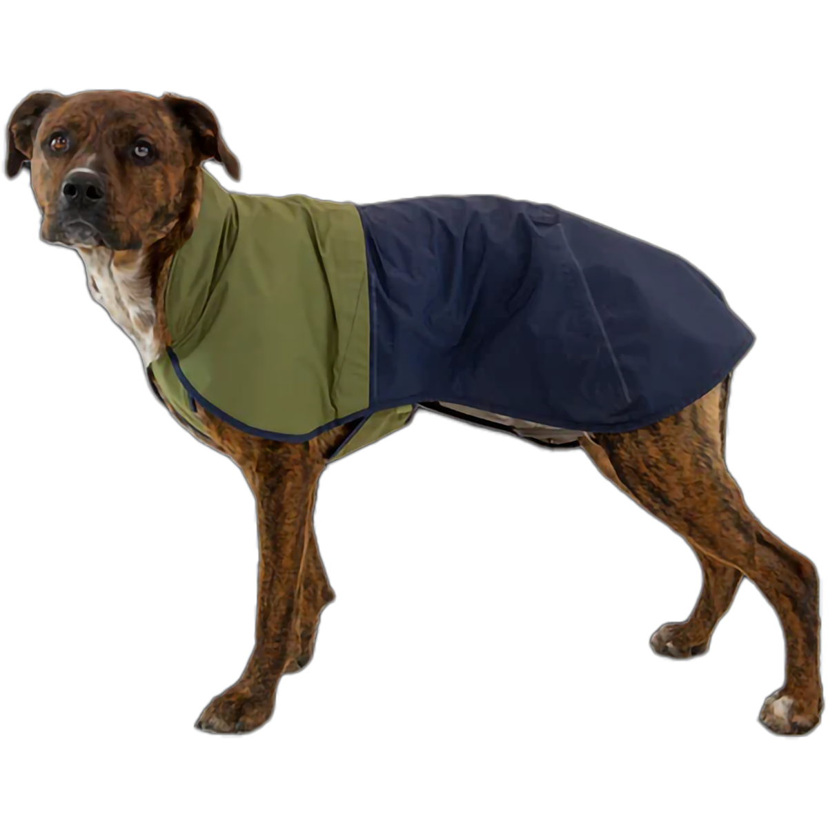 Sun Shower Jacket – Sports Basement