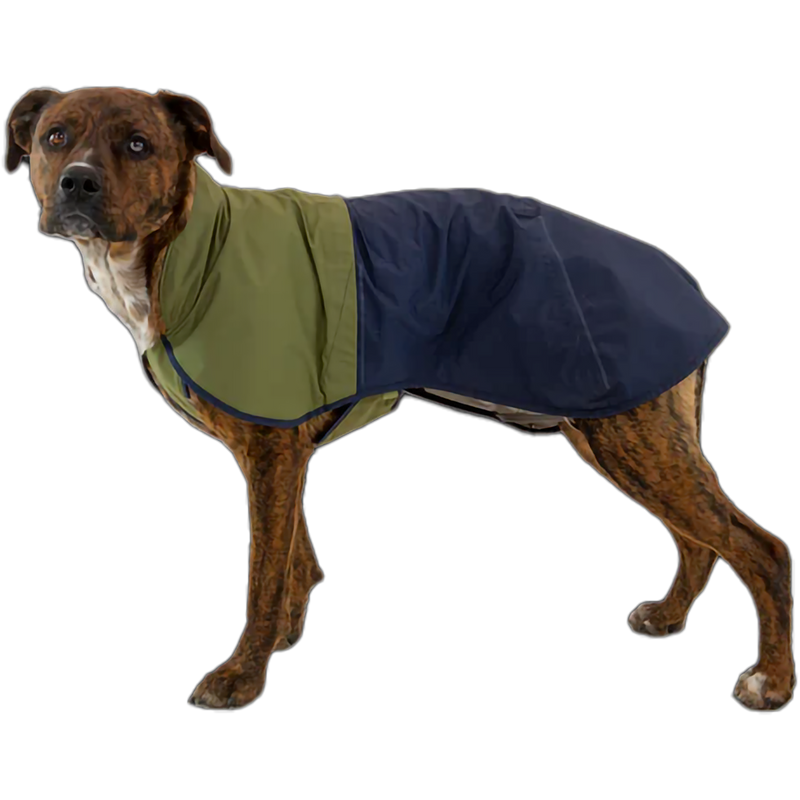 Sun Shower Jacket, Featured Image