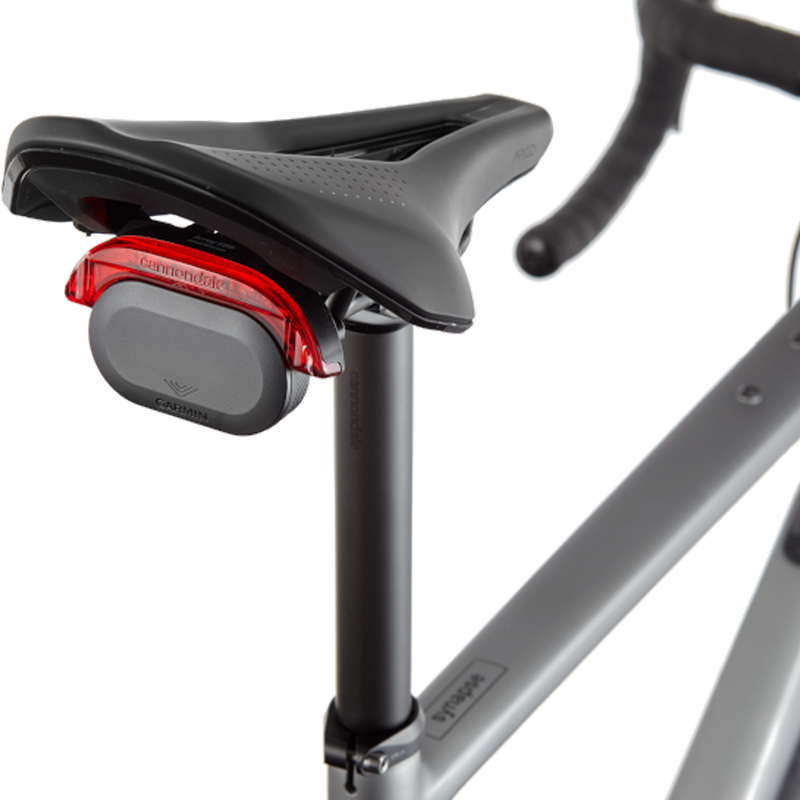 Synapse Carbon 2 RLE – Sports Basement Synapse Carbon 2 RLE – Sports Basement