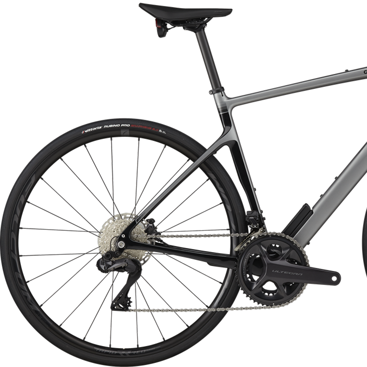 Synapse Carbon 2 RLE – Sports Basement