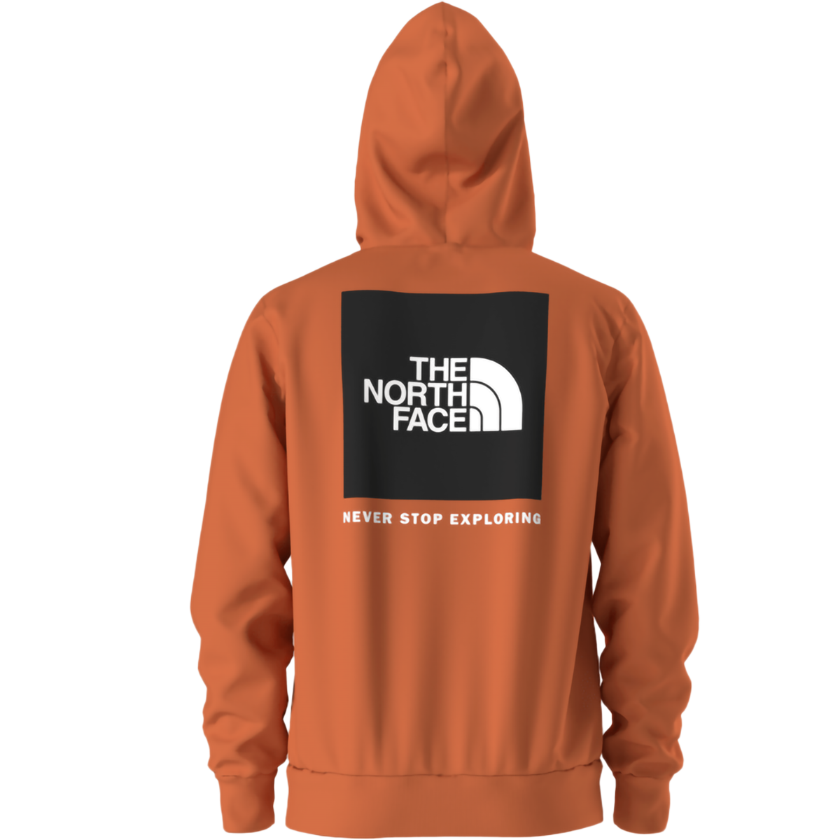 Men's Box NSE Pullover Hoodie alternate view