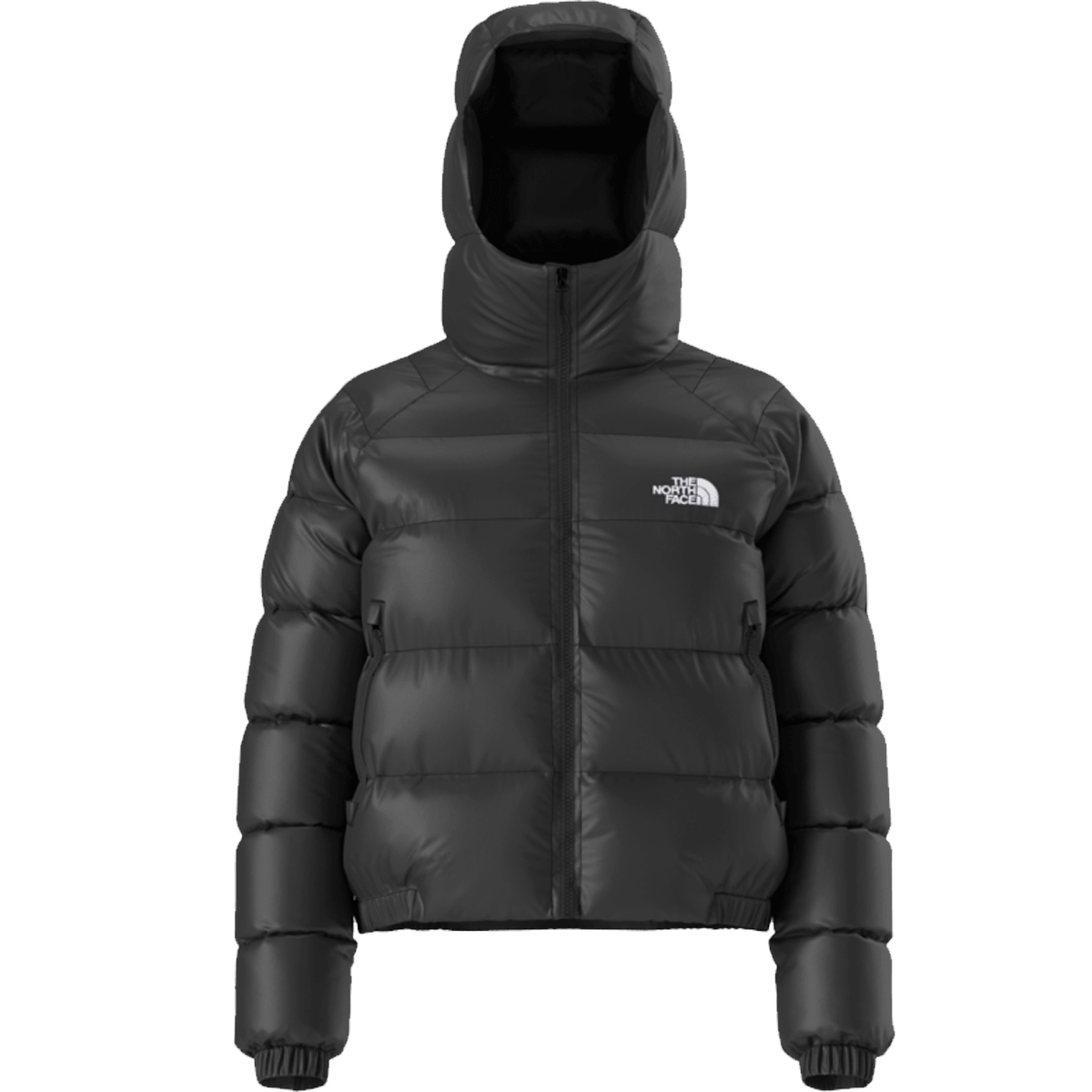 Women's Hydrenalite Down Hoodie alternate view