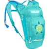 Turquoise Turtle