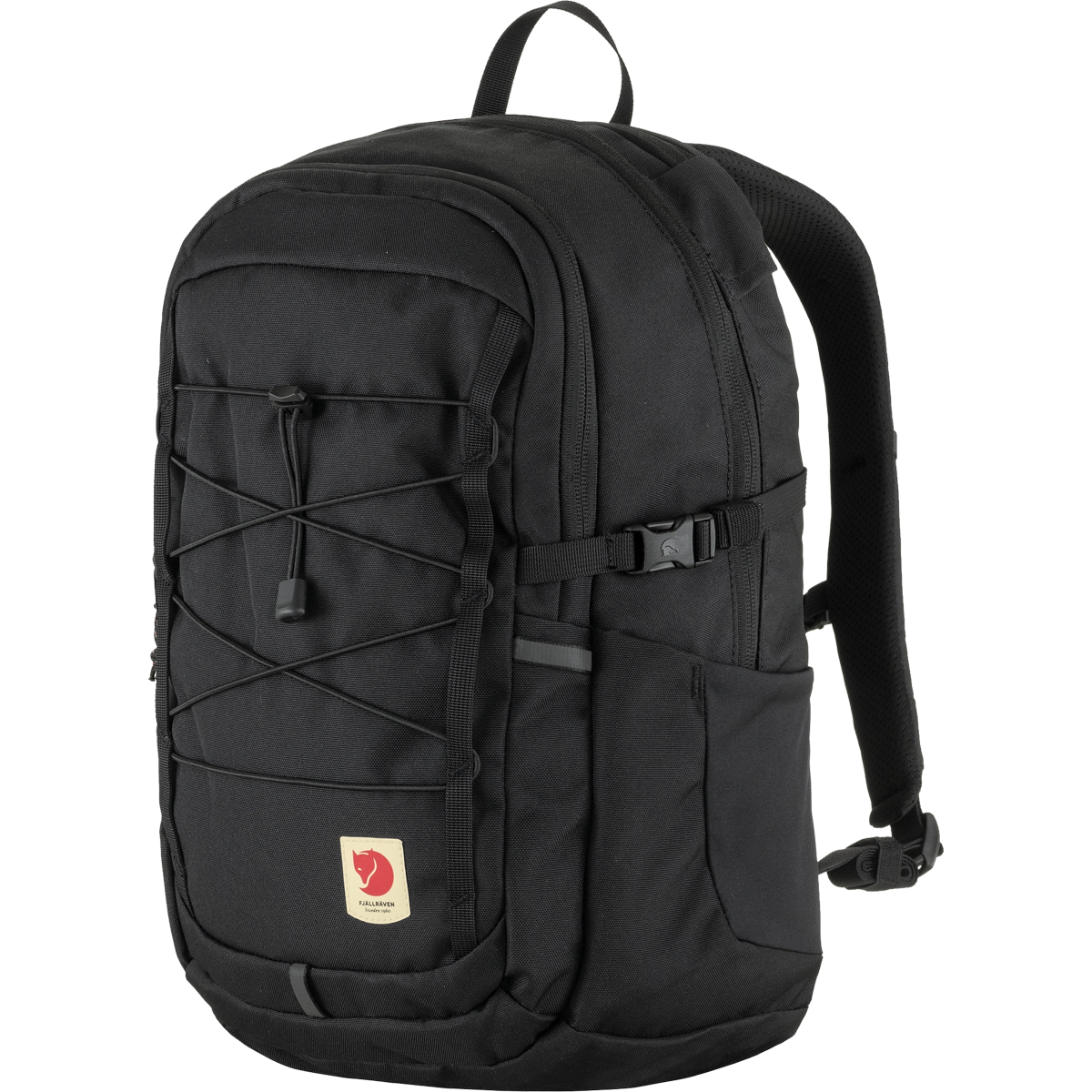 Skule 20 alternate view