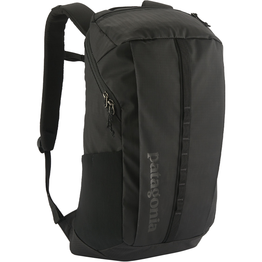 Patagonia Black Hole Pack