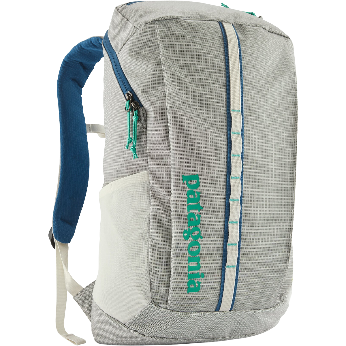 patagonia black hole 25l daypack 1526cu in Pack With a 25 Patagonia Black Hole Pack 25L