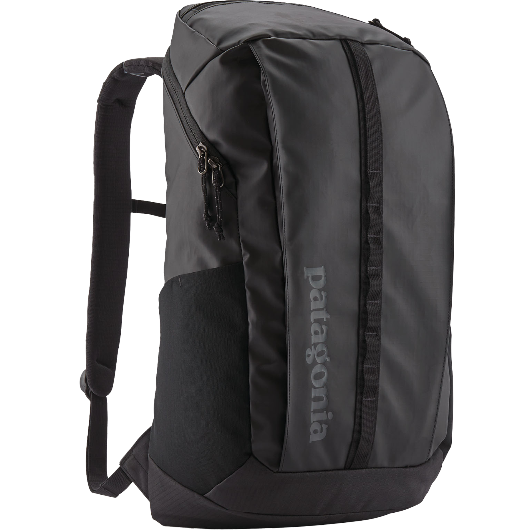Patagonia Black Hole Pack - 25 L Black