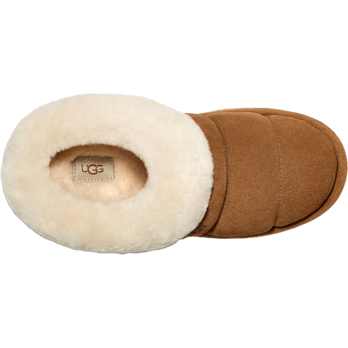 Women's Tazzlita – Sports Basement