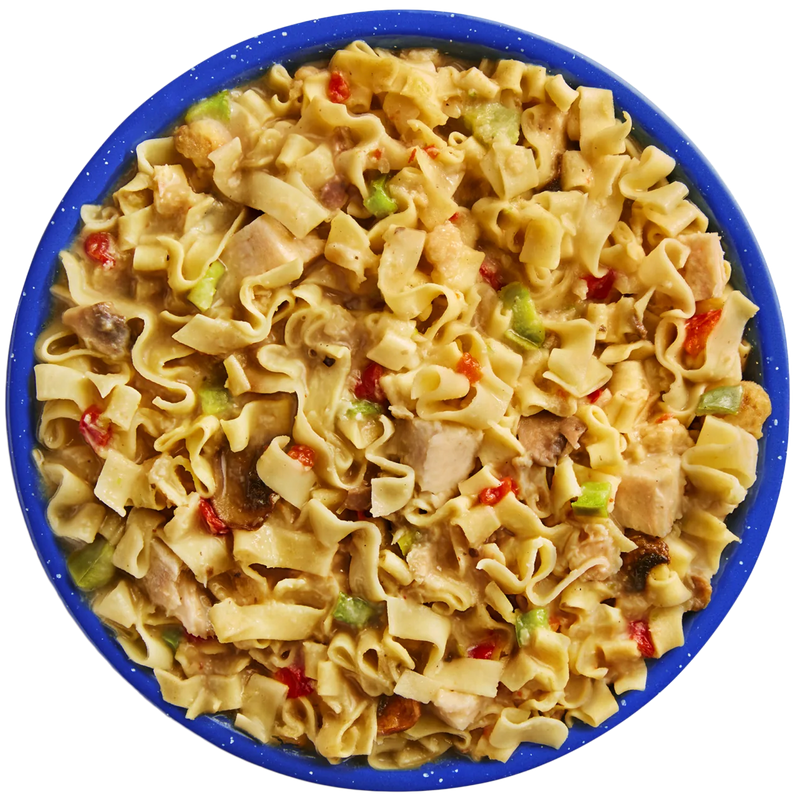 Homestyle Chicken Noodle Casserole Pro Pak (1 Serving), Mountain House Homestyle Chicken Noodle Casserole Pro Pak in bowl