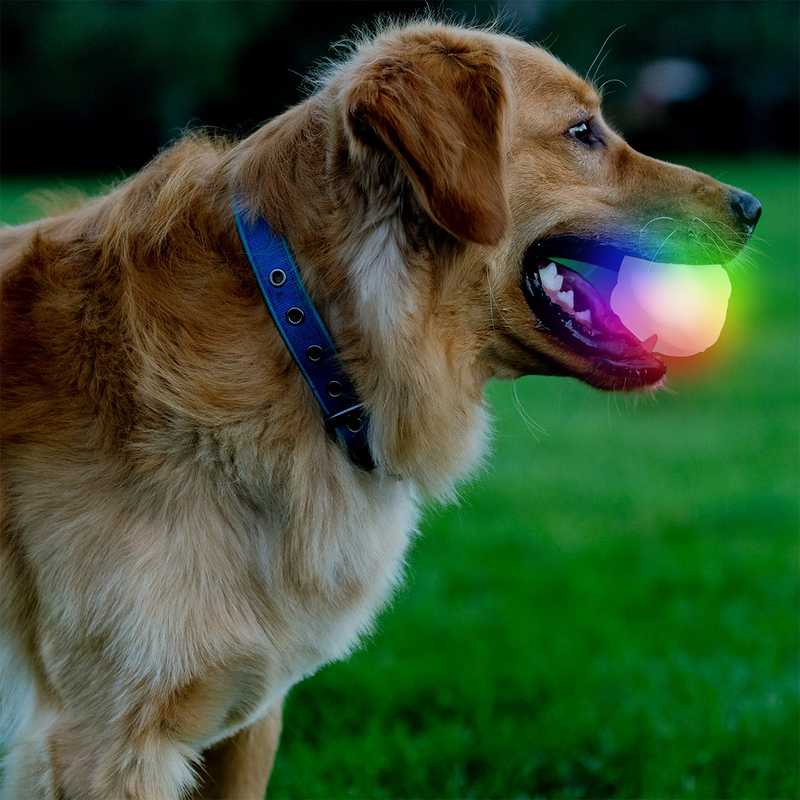 GlowStreak Wild LED Ball, Nite Ize GlowStreak Wild LED Ball in Disc-O with model