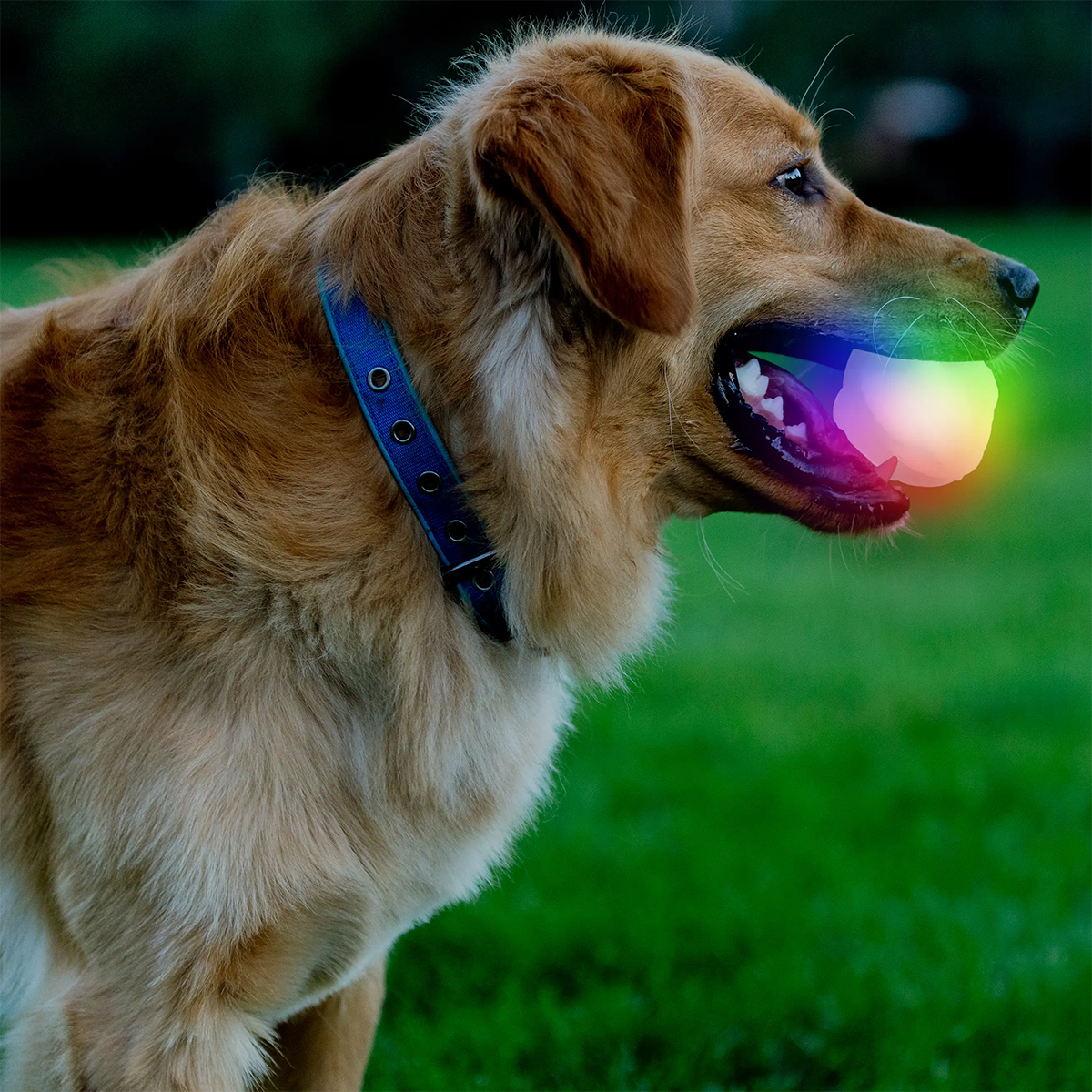 GlowStreak Wild LED Ball alternate view