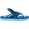 Royal Sharks