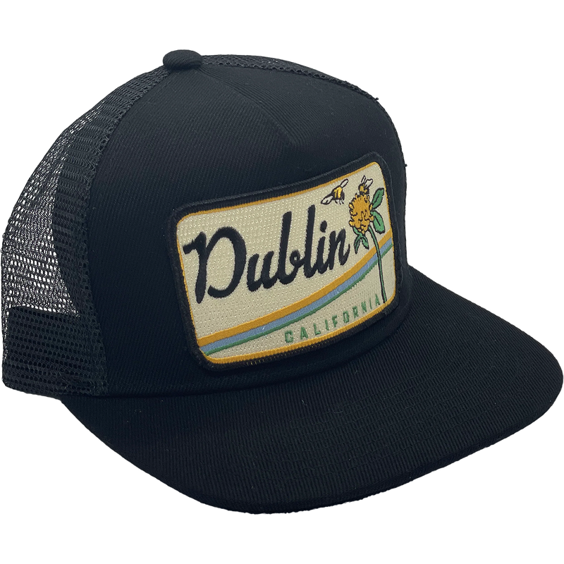 Dublin Trucker, Bart Bridge Dublin CA Trucker in Black front right
