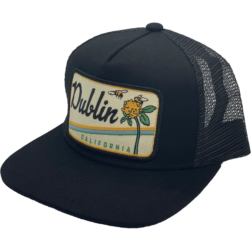 Dublin Trucker, Featured Image