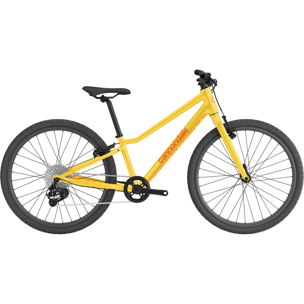 Youth Quick 24