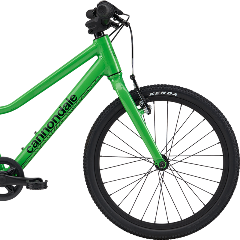 Youth Quick 20", Cannondale Youth Quick 20" front of bike