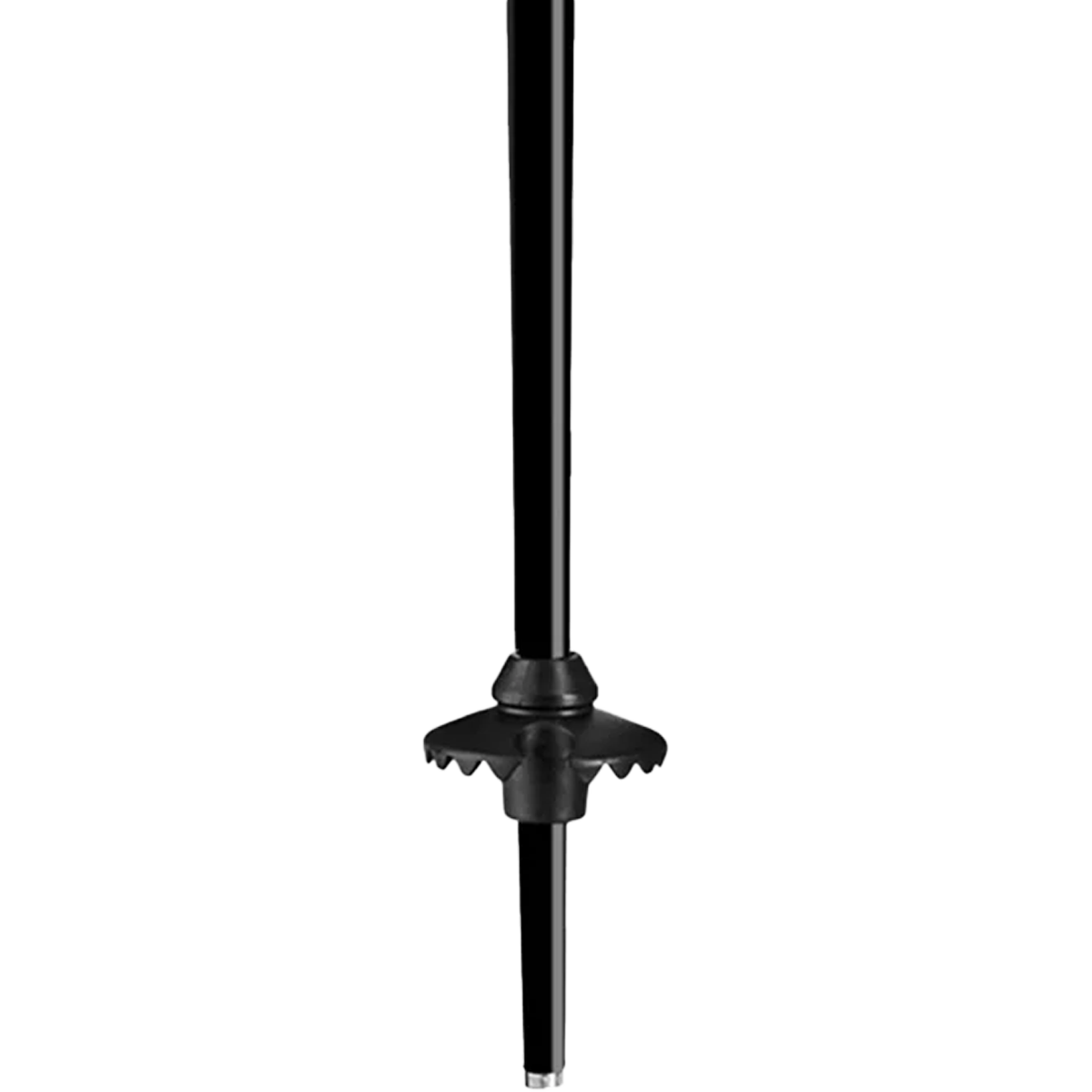 QNTM Poles alternate view
