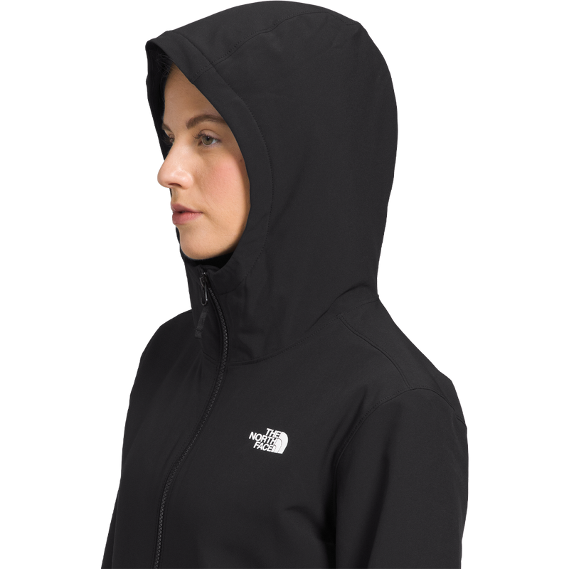 Women's Shelbe Raschel Hoodie, The North Face Women’s Shelbe Raschel Hoodie hood