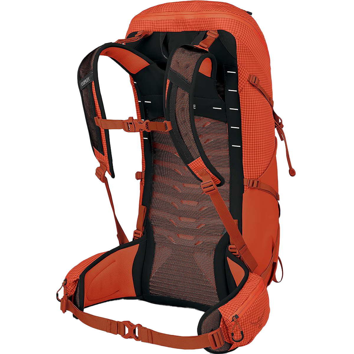 Talon Pro 30 alternate view