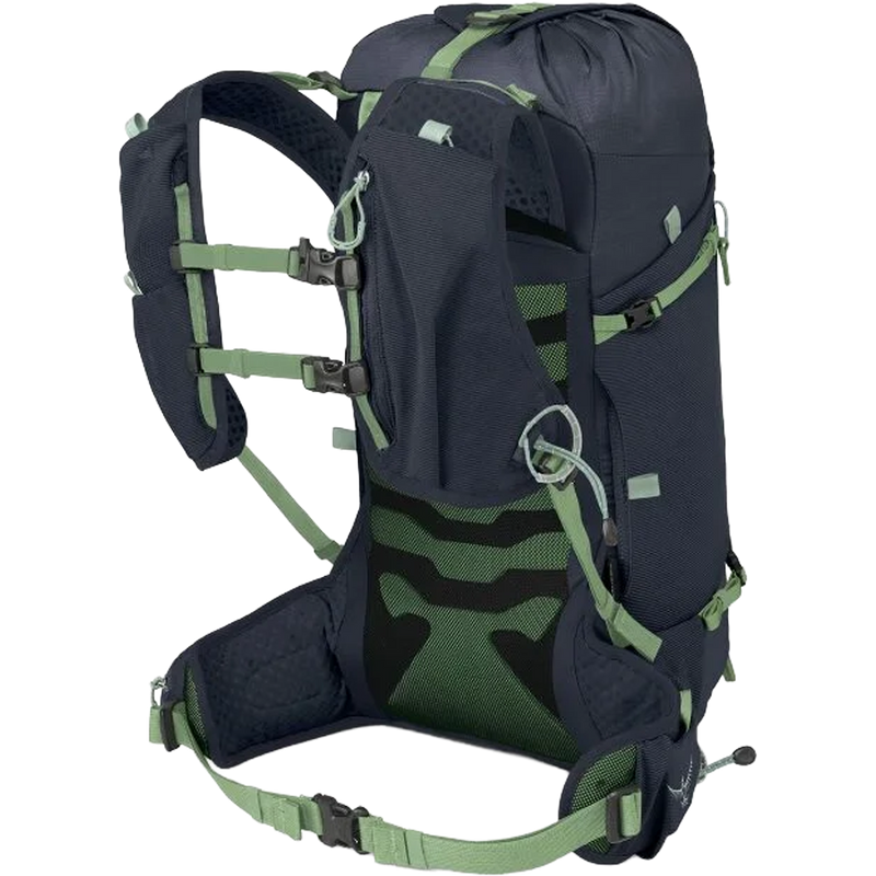 Talon Velocity 20, Osprey Talon Velocity 20 back