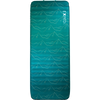 Cypress Print