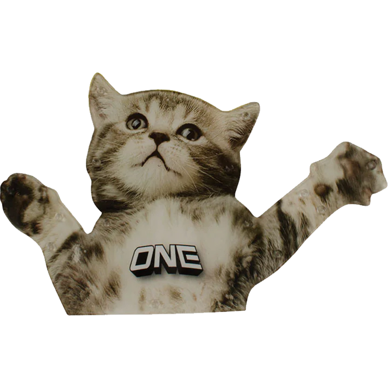 Flying Cat, Featured Image