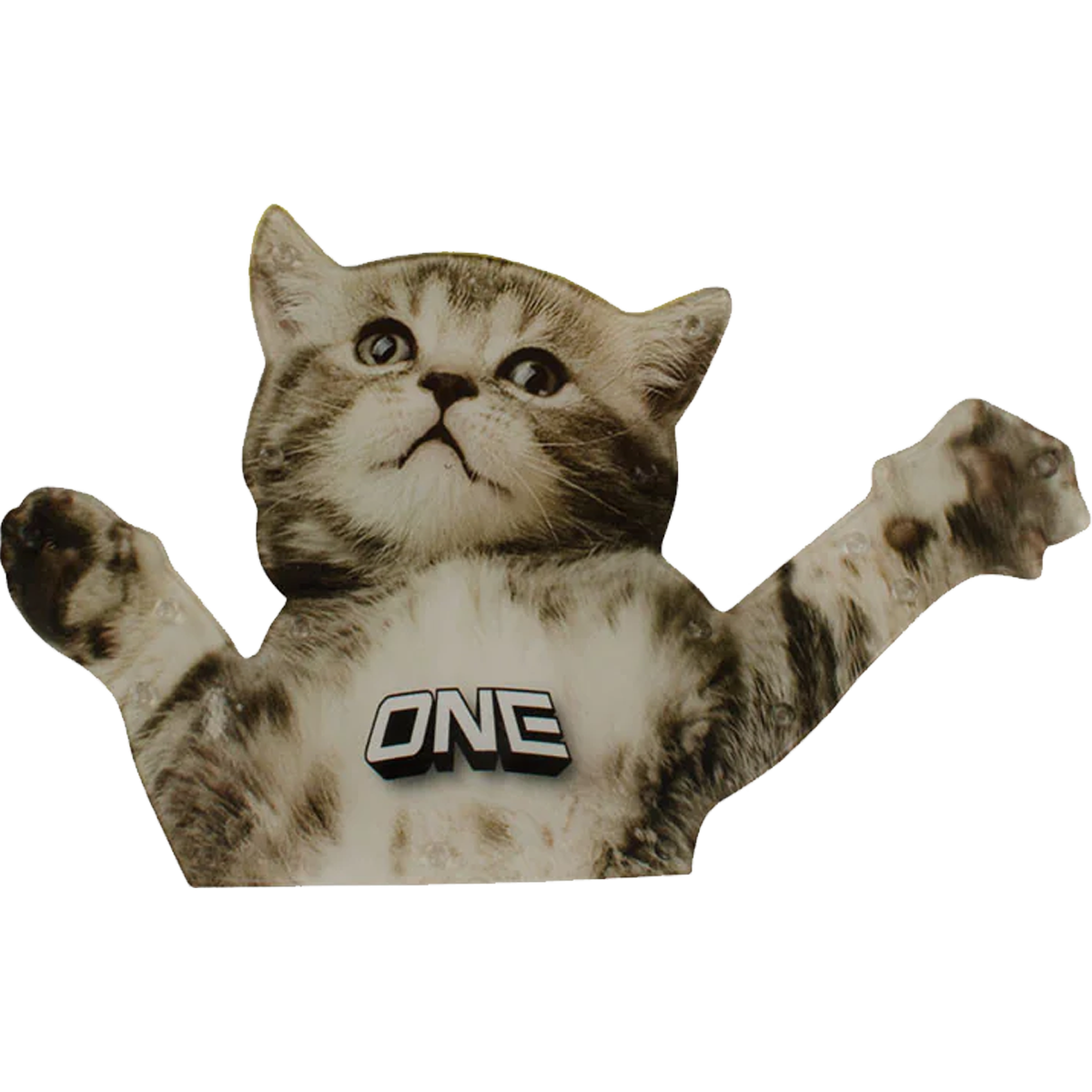 Flying Cat alternate view