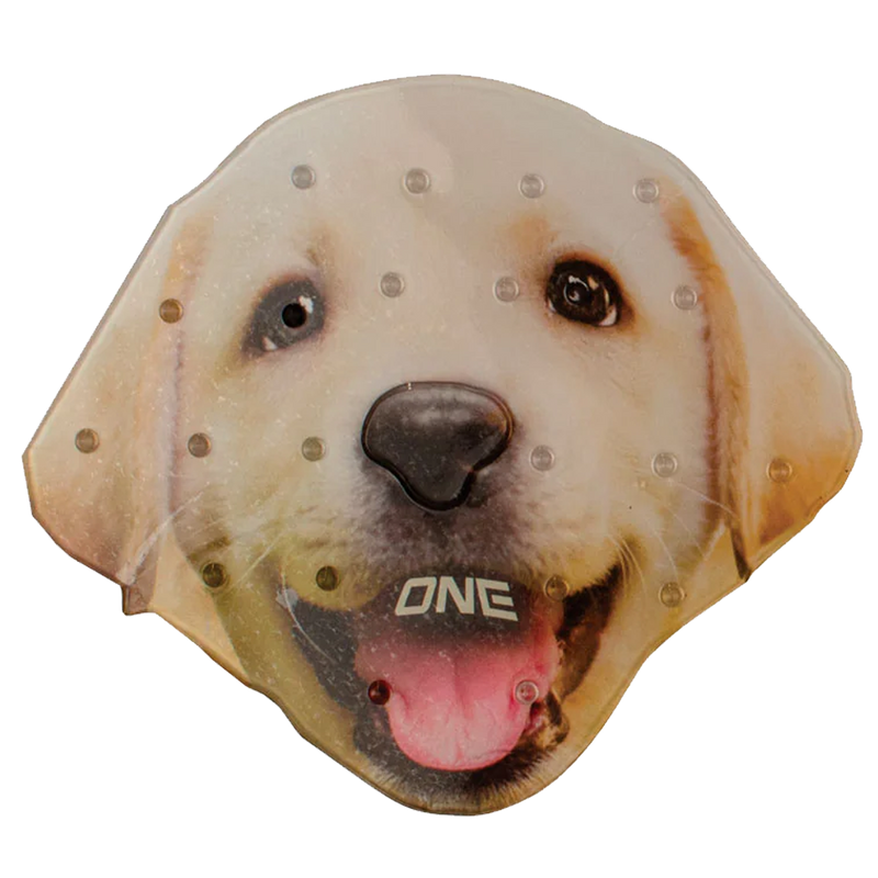 Lab, Featured Image